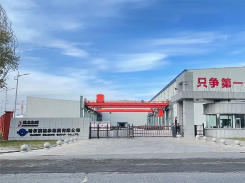 建龙天博体育在线登录官网入口